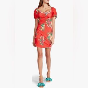 NEW Betsey Johnson Cabbage Rose Dress